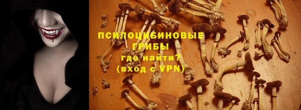 2c-b Алзамай