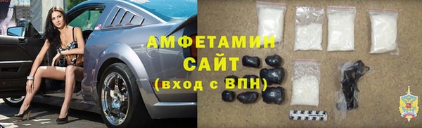 индика Алексин
