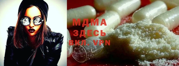 индика Алексин