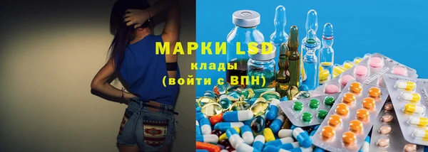 индика Алексин