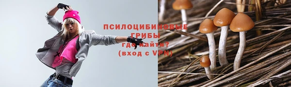 индика Алексин