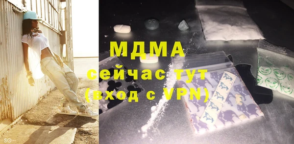 индика Алексин