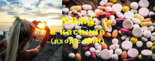 индика Алексин