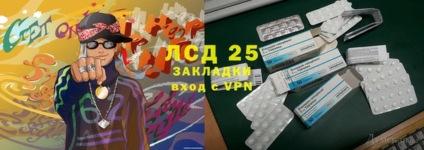 гидра Рославль