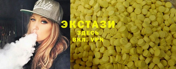 индика Алексин